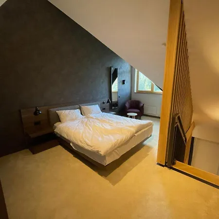 Apartman Woodside With Garage Kopaonik